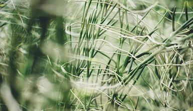 Wie man mit eigenen Händen ein Glücksamulett herstellt