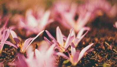 wie man mit eigenen Händen ein Glücksamulett herstellt