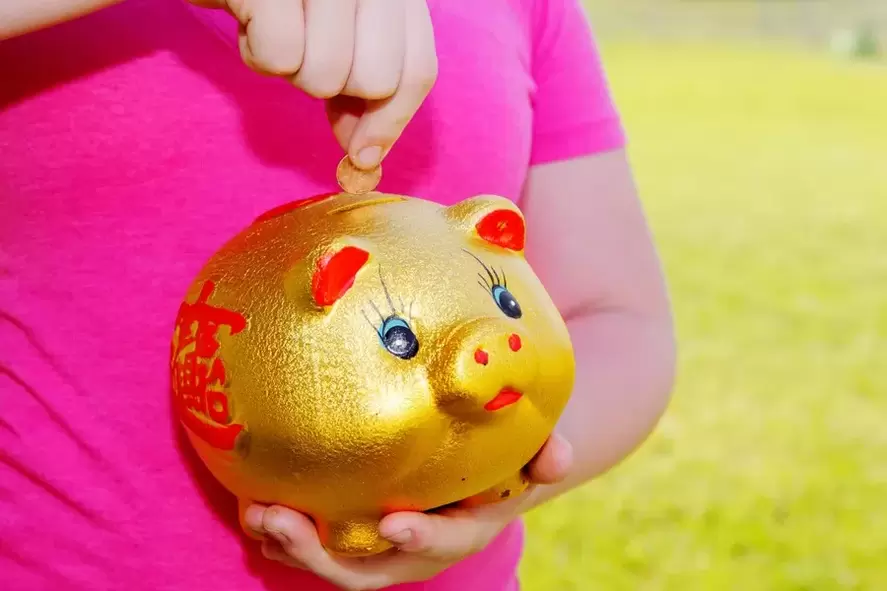 Glücksamulett - Schwein